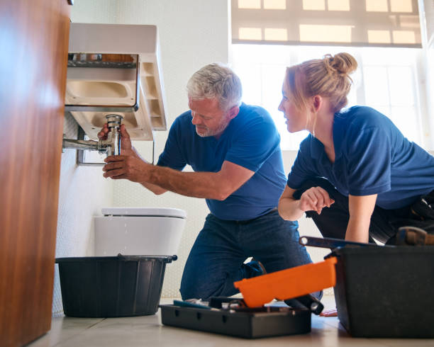 Best Plumbing Repair Near Me  in Detroit, MI